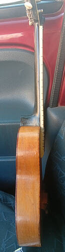 IMG_20260307_080444