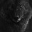 Teo_Tsakiris